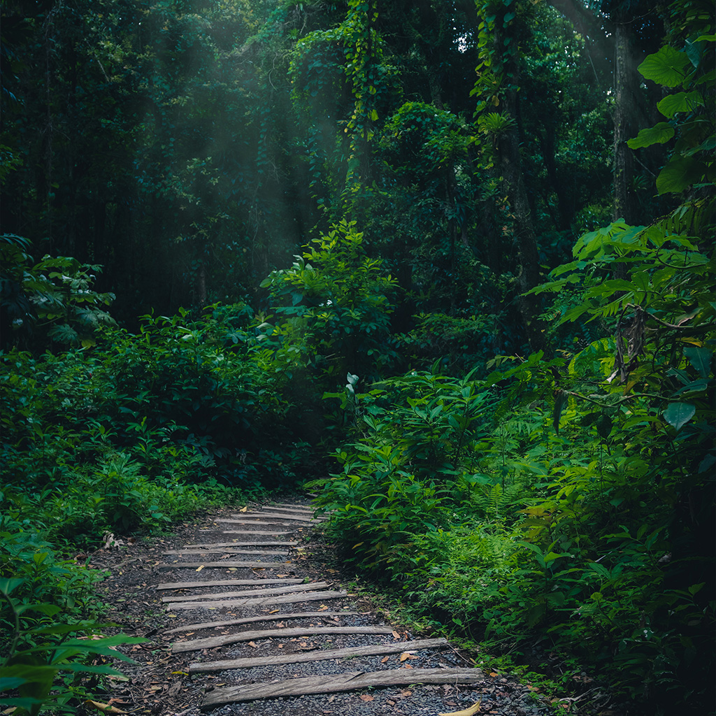Vermont Nature Trail